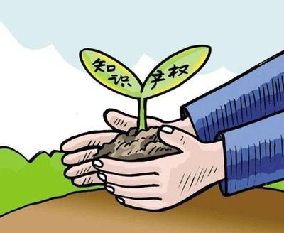 国新办举行新闻发布会 介绍2024年中国知识产权强国建设有关情况 